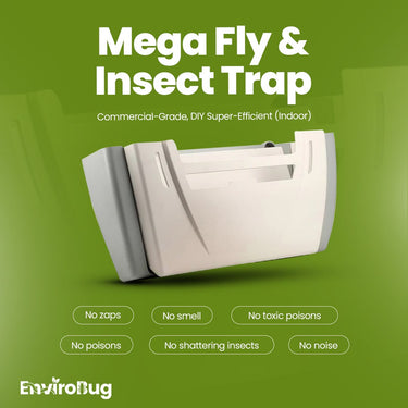 Envirobug Insect Repellent Products: Safe Solutions for Your Home, Garden, and Pets image